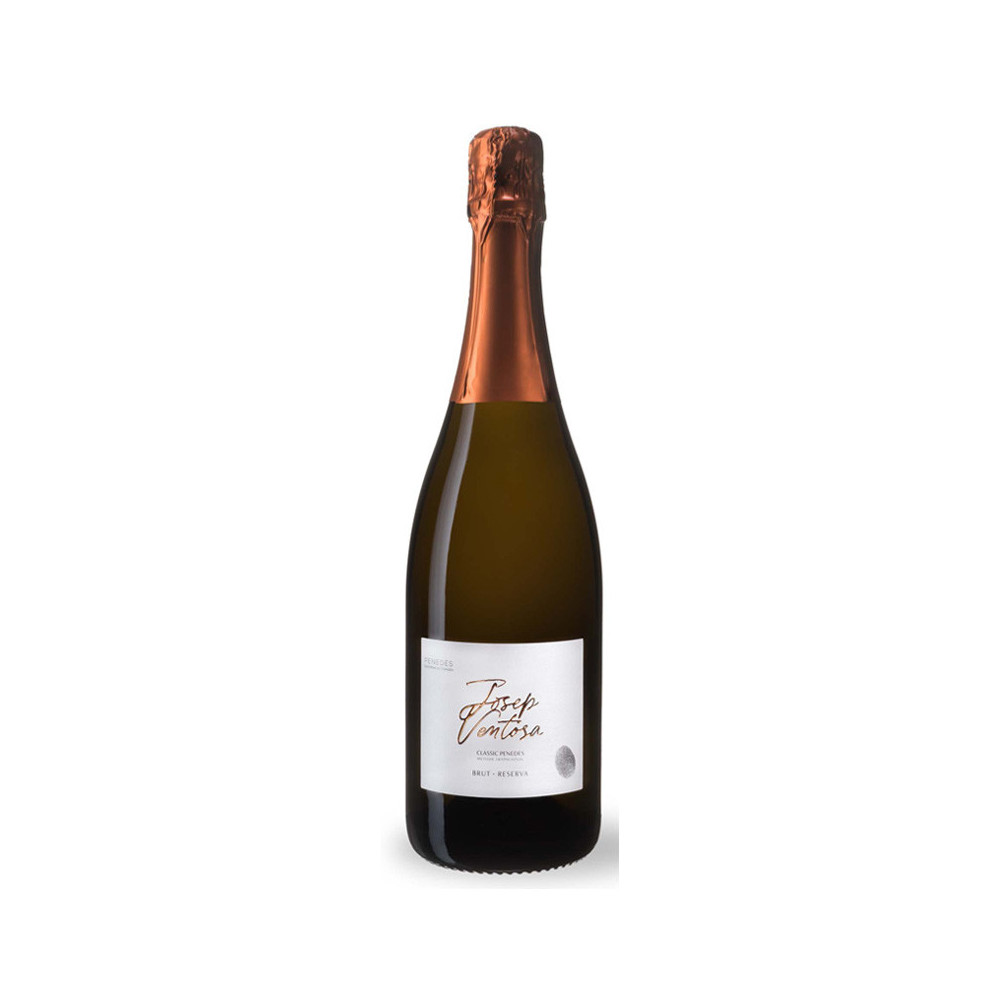 Cava Josep Ventosa Brut Reserva