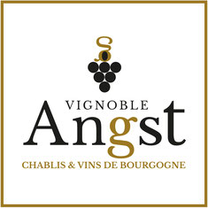 angst logo