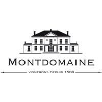 montdomaine logo